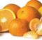 citrus-flavonoids