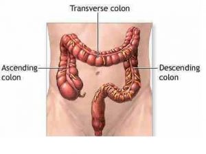 colon-cleanse-benefits
